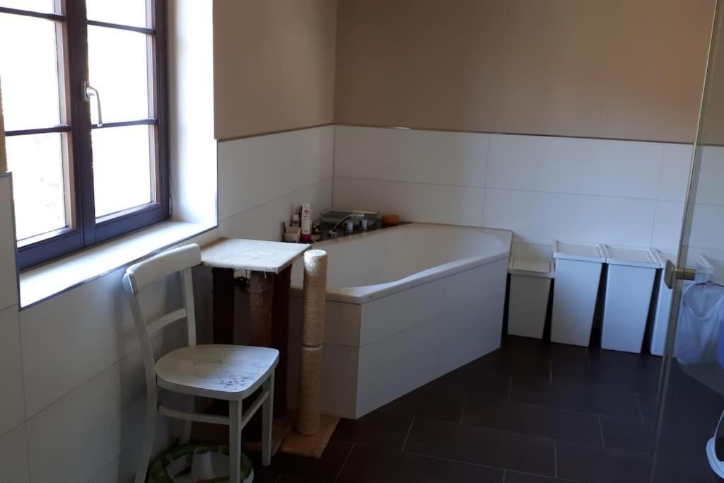 Private Room In Our Home With Free Vvo Ticket & Cats Pirna Exterior photo
