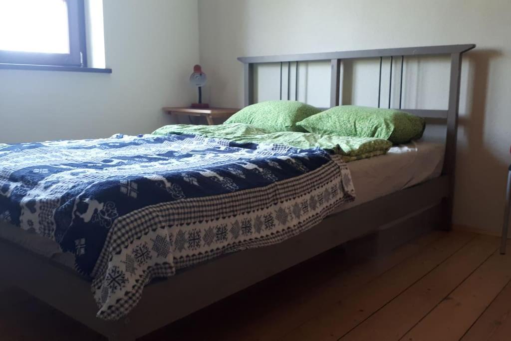 Private Room In Our Home With Free Vvo Ticket & Cats Pirna Exterior photo