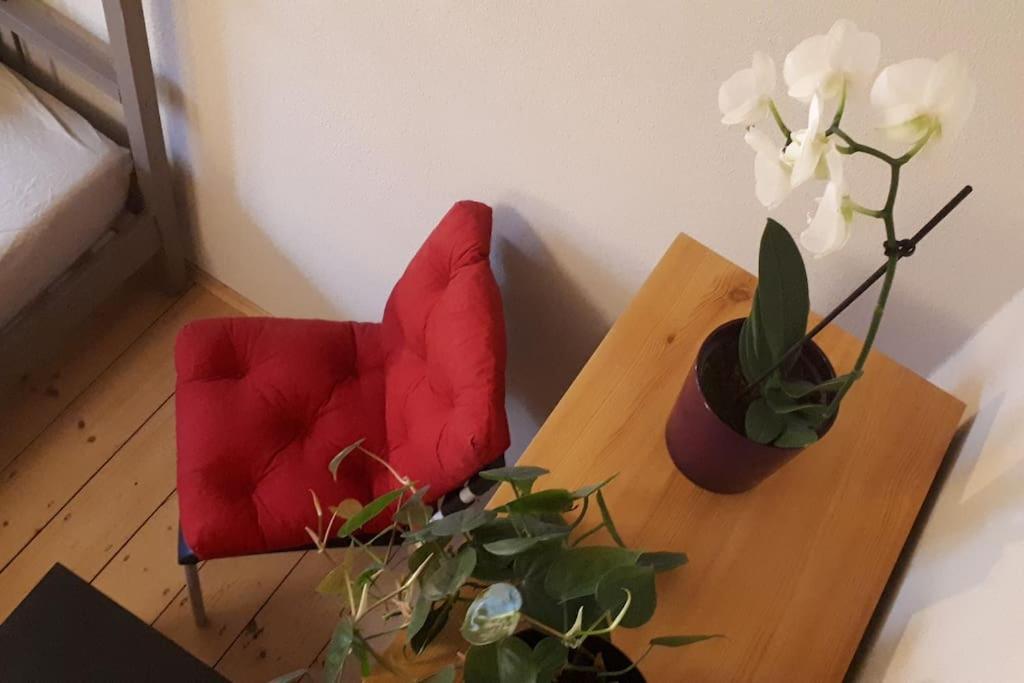 Private Room In Our Home With Free Vvo Ticket & Cats Pirna Exterior photo