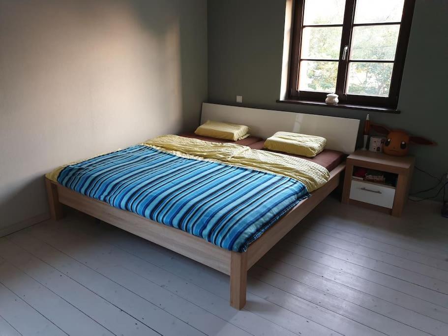 Private Room In Our Home With Free Vvo Ticket & Cats Pirna Exterior photo